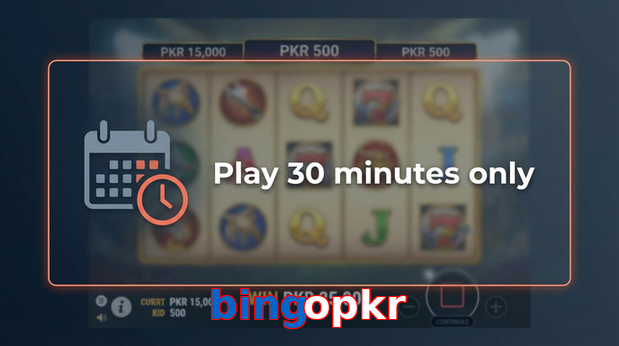 Payment and PKR controls in Bingopkr
